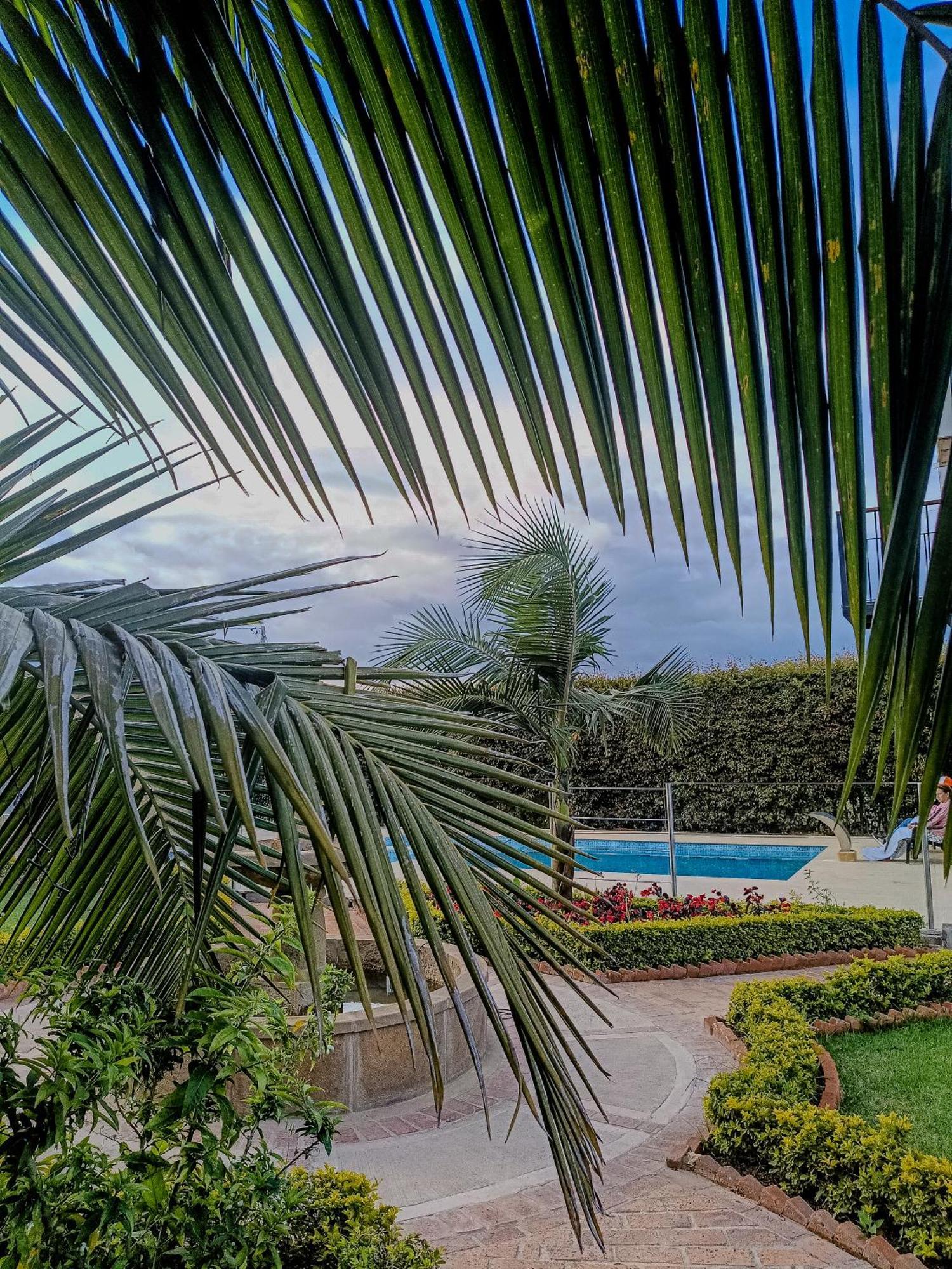 Pliosaurio Campestre *